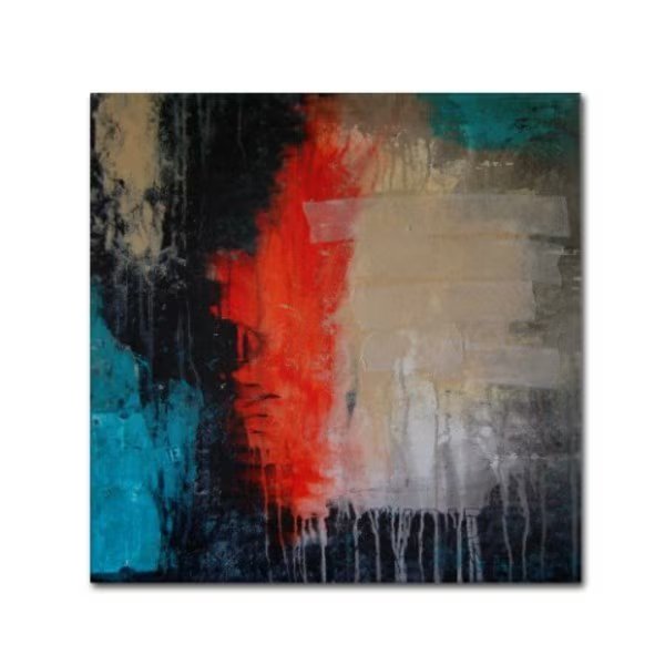 Nicole Dietz 'Rage' Canvas Art, 35x35, Trademark Fine Art, Mfr#: ND079-C3535GG